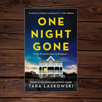 One Night Gone